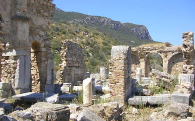 Troizina