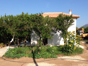 Building in Epidavros